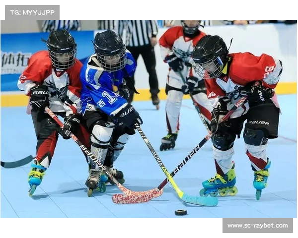 2018年冬季奥运会项目全解析：从冰雪项目到新兴运动的精彩对决